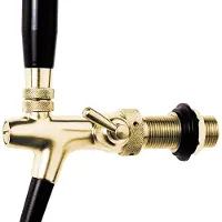 Ich-zapfe Tapkraan bierkraan compensatorkraan zelfsluitend - versie 10 mm, verguld, 35 mm