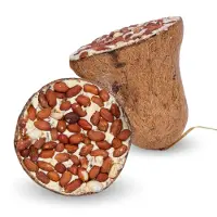 Lyra 2 x 8 stuks Energie Boost voerklokje met pinda’s