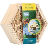 Bûten Home Insectenkast Hexagon Insecten