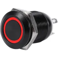 Gistuch Auto 12mm LED-schakelaar, LED-licht, momentane drukknop, schakelbaar, zwarte behuizing, 2A