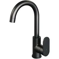 Brauer Black Edition Hoge Opbouw Wastafelmengkraan met Draaibare Ronde Uitloop Model C Mat Zwart