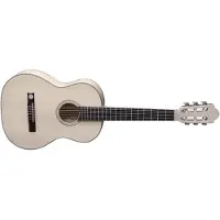 Pro Natura Klassieke Gitaar Silver 3/4 3/4