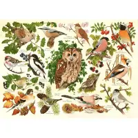 The House of Puzzles Woodland Birds Puzzel 500 XL stukjes