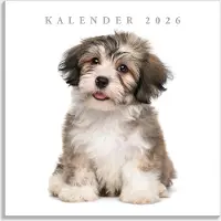 De Hobbit Honden Kalender 2026