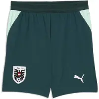Puma Sportbroek 'Österreich 2026' pastelgroen / donkergroen