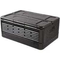 COOAU Koelbox - Opvouwbare Geïsoleerde Container - Draagbare Autokoelbox - Ideaal Voor Kamperen, Reizen, Vissen en Stranduitjes - Zwart - 60 X 41 X 25 cm