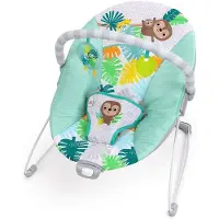 Bright Starts Wild Wonders Vibrerende Baby-Bouncer - Boog met uitneembare leerspeeltjes, 3-punts tuigje