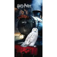 Super Merchant Strandlaken Hedwig - 70 x 140 cm - Katoen
