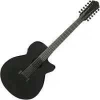Ibanez AEG1221-BOT Black Out 12-snarige elektrisch-akoestische gitaar