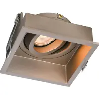 Artdelight Inbouwspot Rex vierkant 9,2 cm champagne