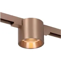 Lucide 1 Fase Railspot Linial Lux Champagne