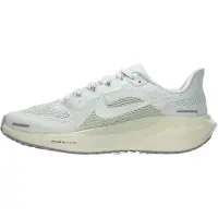 Nike Loopschoen 'Air Zoom Pegasus 41' grijs / wit