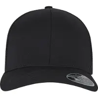 Flexfit Pet zwart