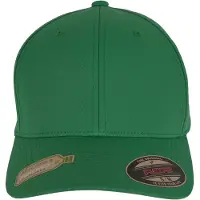 Flexfit Recycled Polyester Pet