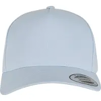 Flexfit Pet 'Classic' lichtblauw / zwart