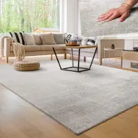 Paco Home Moderne woonkamer tapijt kortpolig wasbaar zacht uni effect bont antislip 160x220 cm