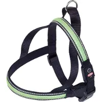 Nobby Norwegian Tuig Starlight Medium
