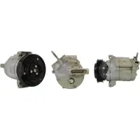 SANDO SAC77032.1 Aircopomp