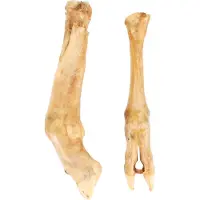 Flamingo Nature - Snack Honden - Nature Snack Schaapsvoet 2st - 2st - 132466 - 2st