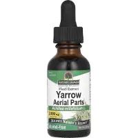 Natures Answer , Yarrow Aeriële Delen, Alcoholvrij, 2,000 mg, 1 fl oz (30 ml)
