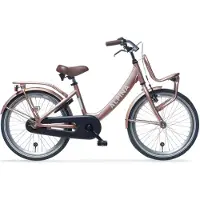 Alpina Clubb Meisjesfiets - 20 inch - Rose Gold Matt - Transportfiets Meisjes - Roze