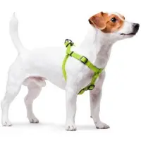 Waudog Waterproof Harnas / Hondentuigje - Collartex - Groen - Breedte 15 mm - Borstomtrek 40 - 55 cm (GELIEVE ALVORENS BESTELLEN OPMETEN)