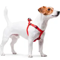 Waudog Waterproof Harnas / Hondentuigje - Collartex - Rood - Breedte 15 mm - Borstomtrek 40 - 55 cm (GELIEVE ALVORENS BESTELLEN OPMETEN)