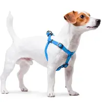 Waudog Waterproof Harnas / Hondentuigje - Collartex - Blauw - Breedte 15 mm - Borstomtrek 40 - 55 cm (GELIEVE ALVORENS BESTELLEN OPMETEN)