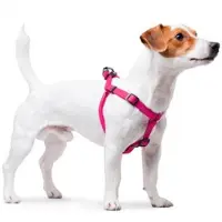 Waudog Waterproof Harnas / Hondentuigje - Collartex - Roze - Breedte 15 mm - Borstomtrek 40 - 55 cm (GELIEVE ALVORENS BESTELLEN OPMETEN)