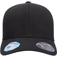 Flexfit 110 Gebogen Piek Snapback Cap (Zwart)