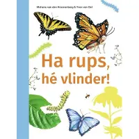 Uitgeverij Zwijsen België Ha rups, hé vlinder!