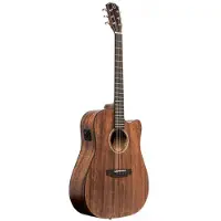 J.N Guitars Dovern Series DOV-DCFI elektrisch-akoestische westerngitaar