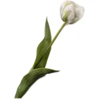 Silk-ka Kunstbloem-Zijden Bloemen Tulp Steel Crème 47 cm Per 2 Stuks