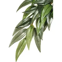 Exo Terra - RUCUS M