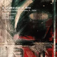 OUTHERE Alexander Chance, Tim Mead, Chinwe D. John, Daniel Norman, Giacomo Susani - Susani: A Screenshot Of Now (CD)