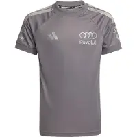 Adidas Functioneel shirt 'Audi Formula One Team Driver' grijs / zilvergrijs