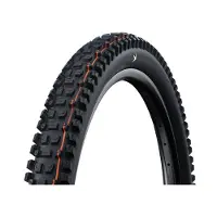 Schwalbe Albert - TLR - ADDIX Soft - Gravity Pro - Radial - 29x2.60 - Black