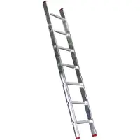Elkop enkele ladder 12 treden