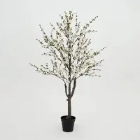 Decostar Prunusplant 100x100x180cm wt