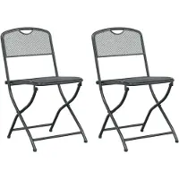 vidaXL Tuinstoelen, 2 stuks, antraciet, ijzer, omkeerbaar
