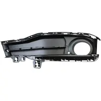 BMW 51117396886 Ventilatiegrille, bumper