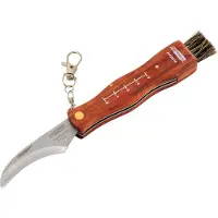 AWTOOLS AW29314 - Zakmes - Stalen Lemmet - Houten Handgreep - Inclusief Borstel