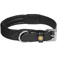 Equestro Web Hondenhalsband