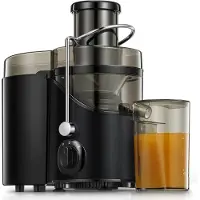 Ren Sapcentrifuge - Slowjuicer - Sapcentrifuges Groenten en Fruit - Nutribullet - Smoothie Maker - Zwart - 30cm x 20cm x 18cm