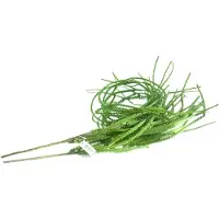 Dpi Vetplantenrank Groen vertakt & naaldachtig 115 cm - Kunstplanten