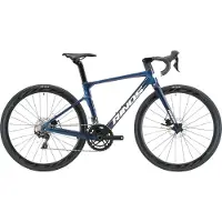 RINOS Odin3.0 Carbon Road Fiets, met SHIMANO 105 ST-R7000, 22 versnellingen en schijfremmen, lichte fiets voor dames en heren, 700 x 40C, Kameleon Blauw-Paars 50 -- 2024