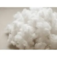 EarKings Vulling voor Zwangerschapskussen - 500 gram
