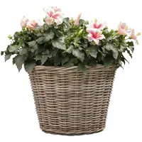 Mega Collections Plantenmand - bloemenmand - D60 x H45 cm - rond - rotan gevlochten - rieten mand