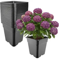 Garronda Set van 20 hoge vierkante kunststof kweekpotten met drainagegaten voor tuin (Zwart, 33 x 33 x 34 cm (25L)) GD-KW-HS