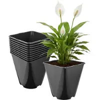 Garronda Set van 10 afgeronde vierkante kunststof kweekpotten met drainagegaten voor tuin (Zwart, 18 x 18 x 20 cm (5L)) GD-KW-SR